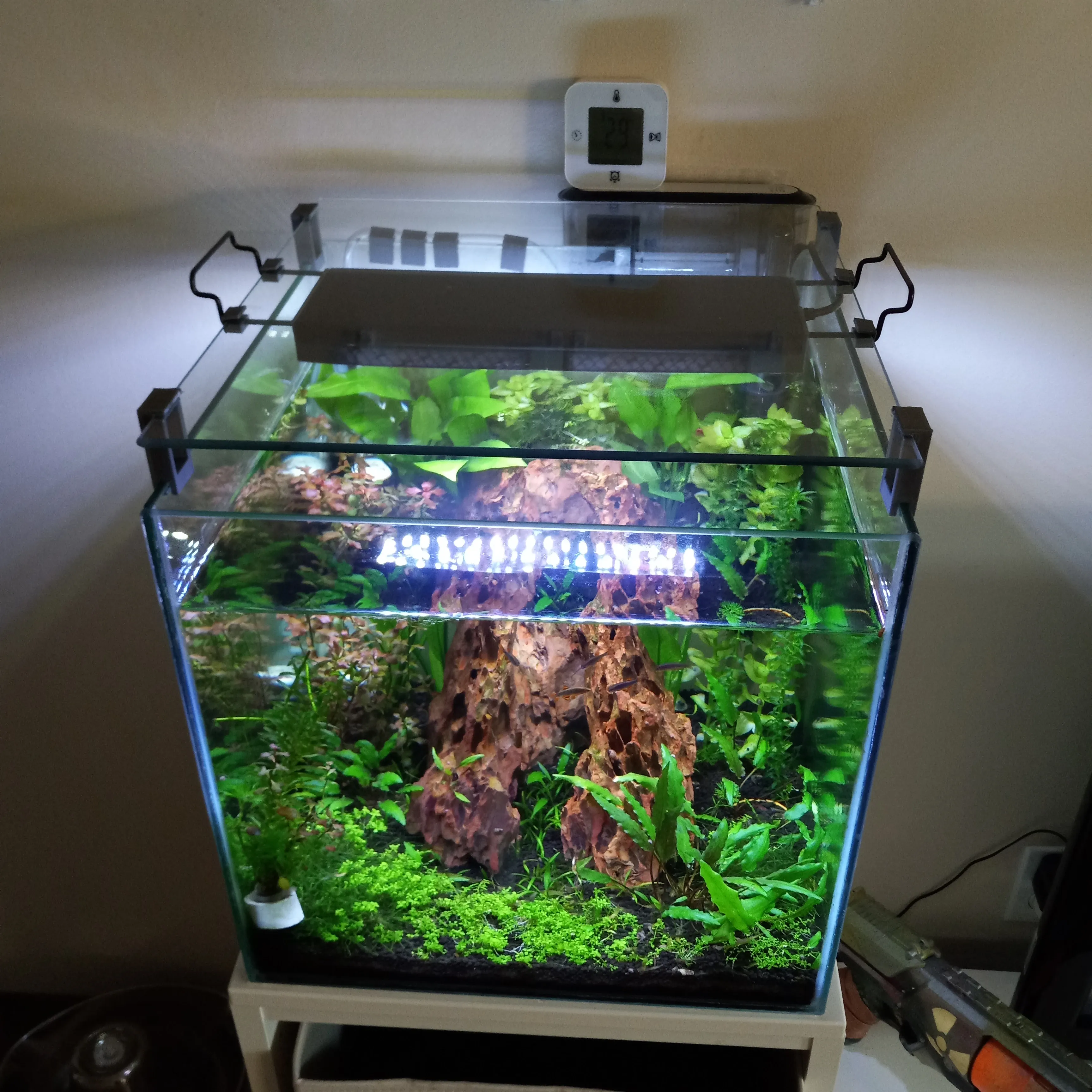 Aquarium 1.0 image 1